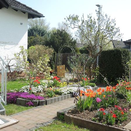 Apartement am Kirschbaum Mommenheim Bagian luar foto