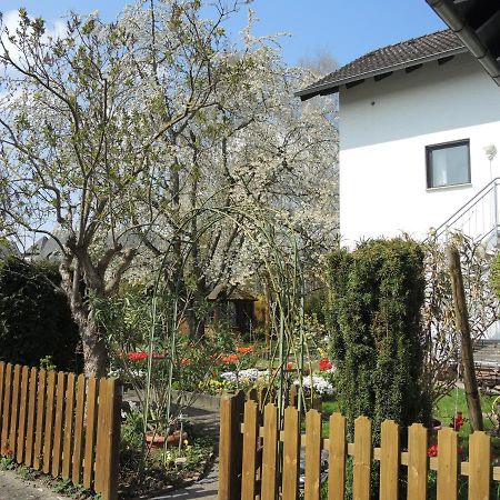 Apartement am Kirschbaum Mommenheim Bagian luar foto