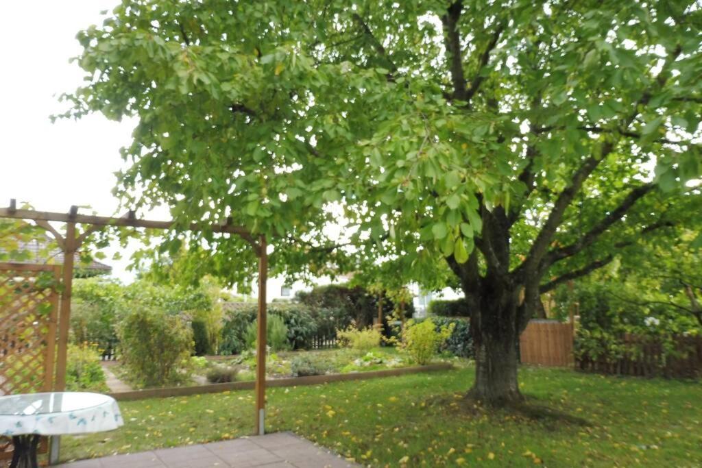Apartement am Kirschbaum Mommenheim Bagian luar foto