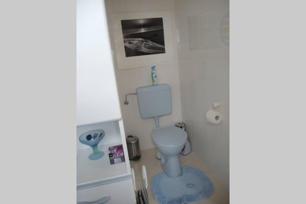 Apartement am Kirschbaum Mommenheim Bagian luar foto