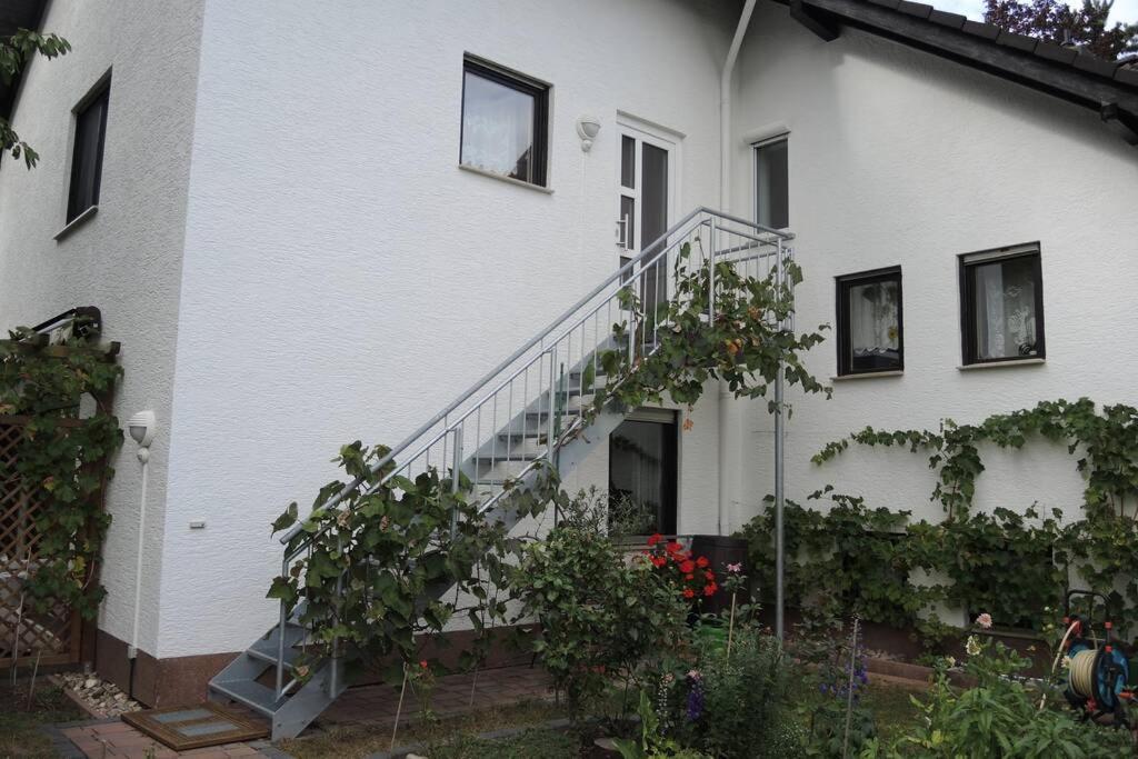 Apartement am Kirschbaum Mommenheim Bagian luar foto