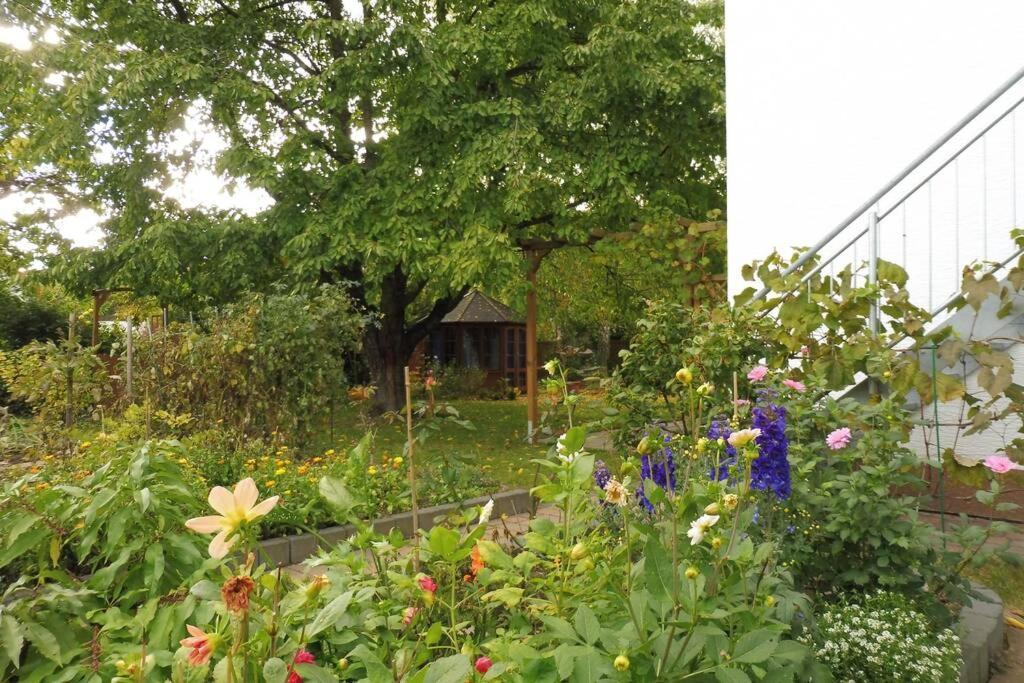Apartement am Kirschbaum Mommenheim Bagian luar foto