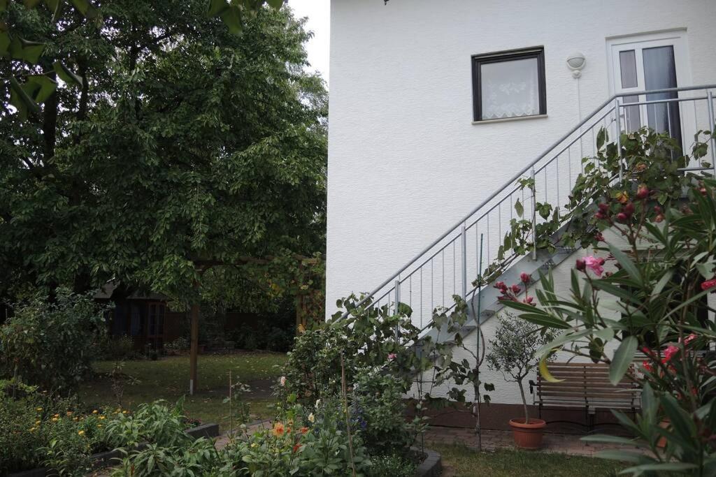 Apartement am Kirschbaum Mommenheim Bagian luar foto
